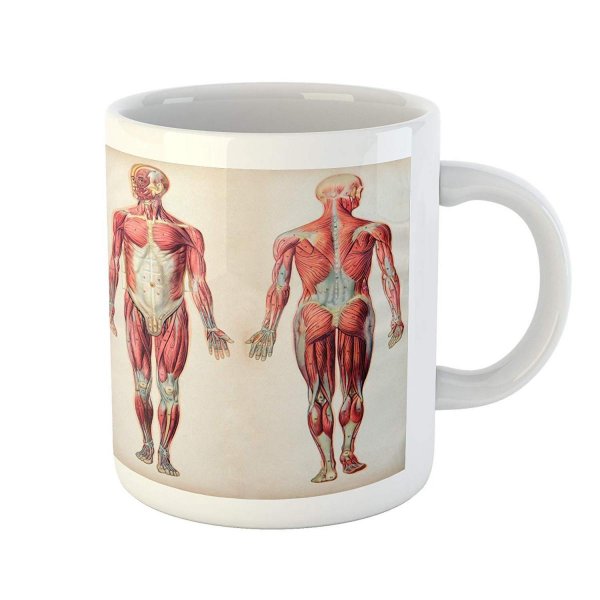 Ruby Cream Fun Mugs Style Practical For Men And Women